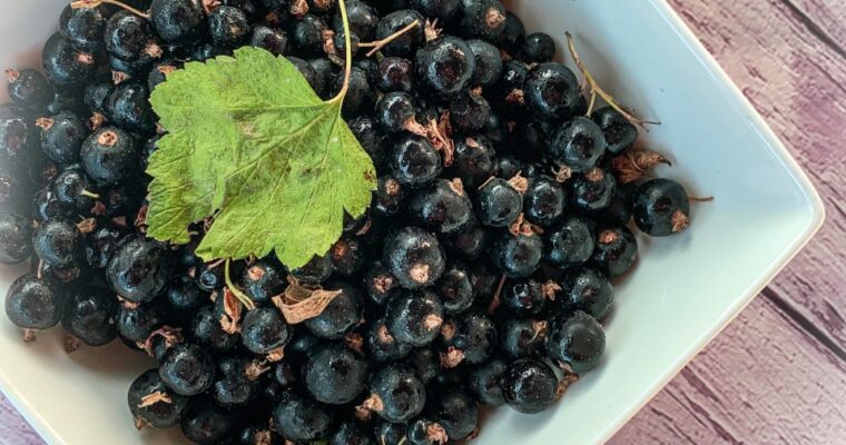 ΦΡΑΓΚΟΣΤΑΦΥΛΟ