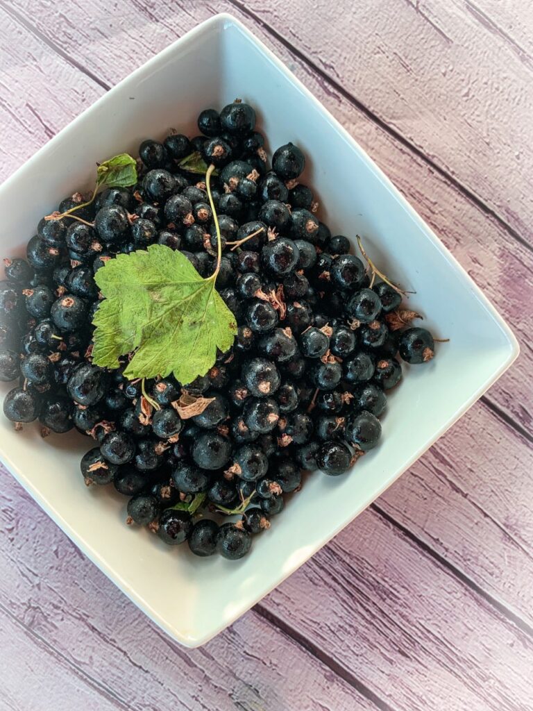 black currant, μαυρο φραγκοστάφυλλο
