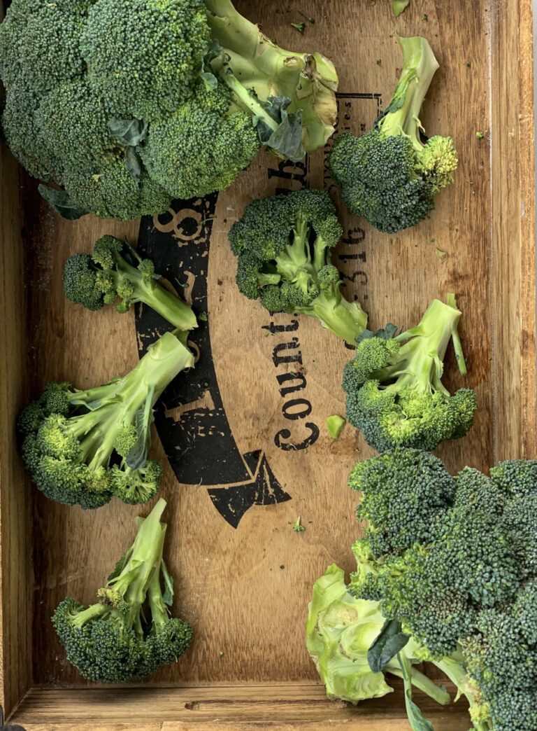 broccoli, μπρόκολο