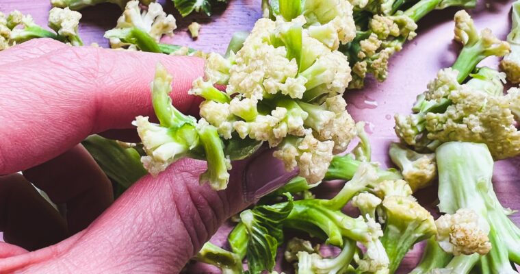 ΚΟΥΝΟΥΠΙΔΙ