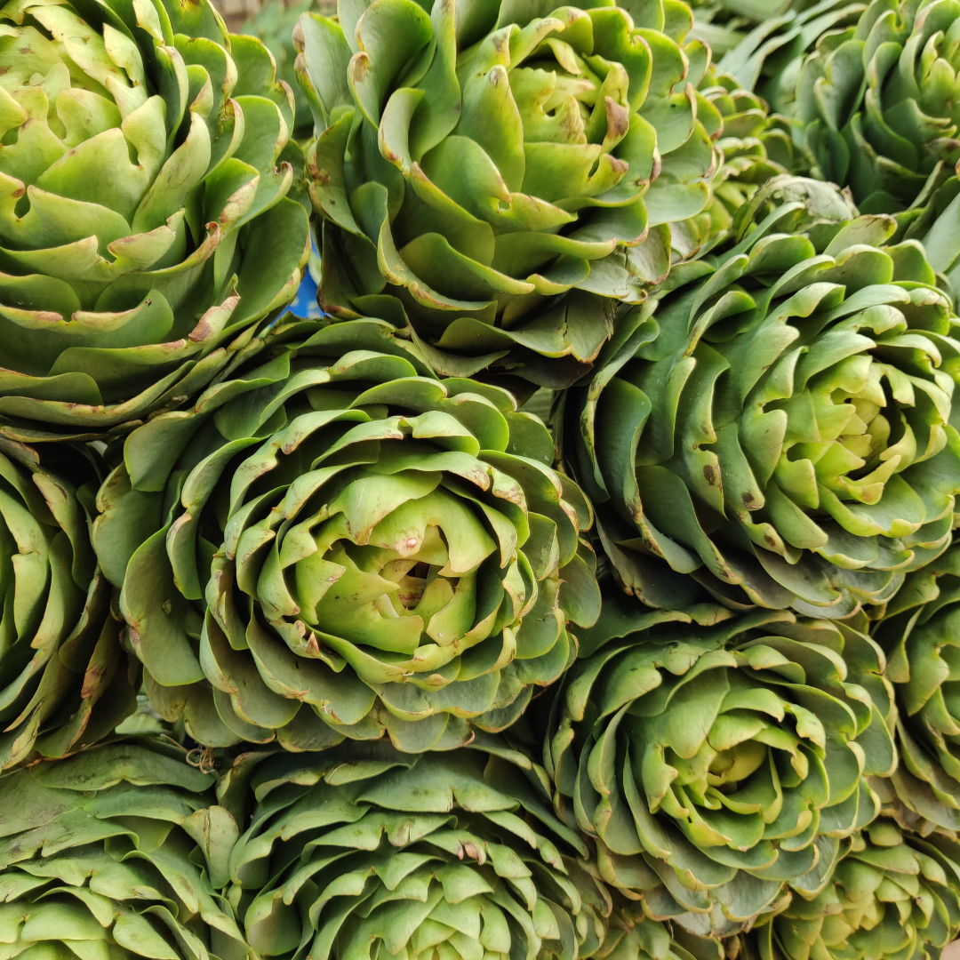 Η ΥΠΕΡΟΧΗ ΑΓΚΙΝΑΡΑ