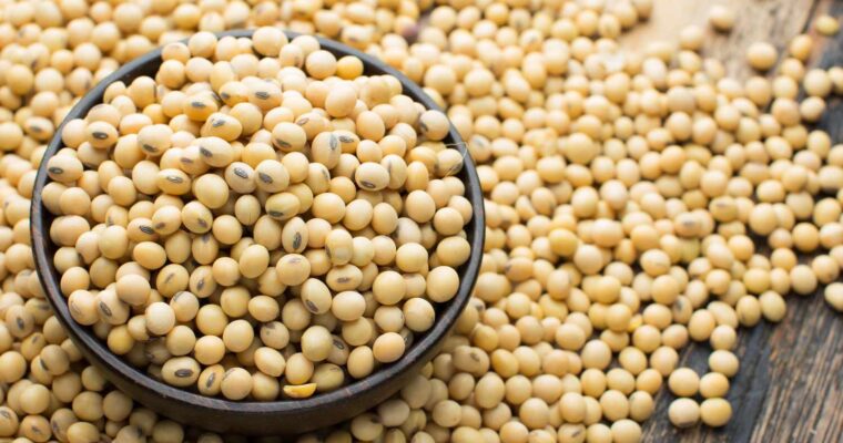 ΣΟΓΙΑ, ΟΛΑ ΟΣΑ ΘΕΛΕΙΣ ΝΑ ΓΝΩΡΙΖΕΙΣ